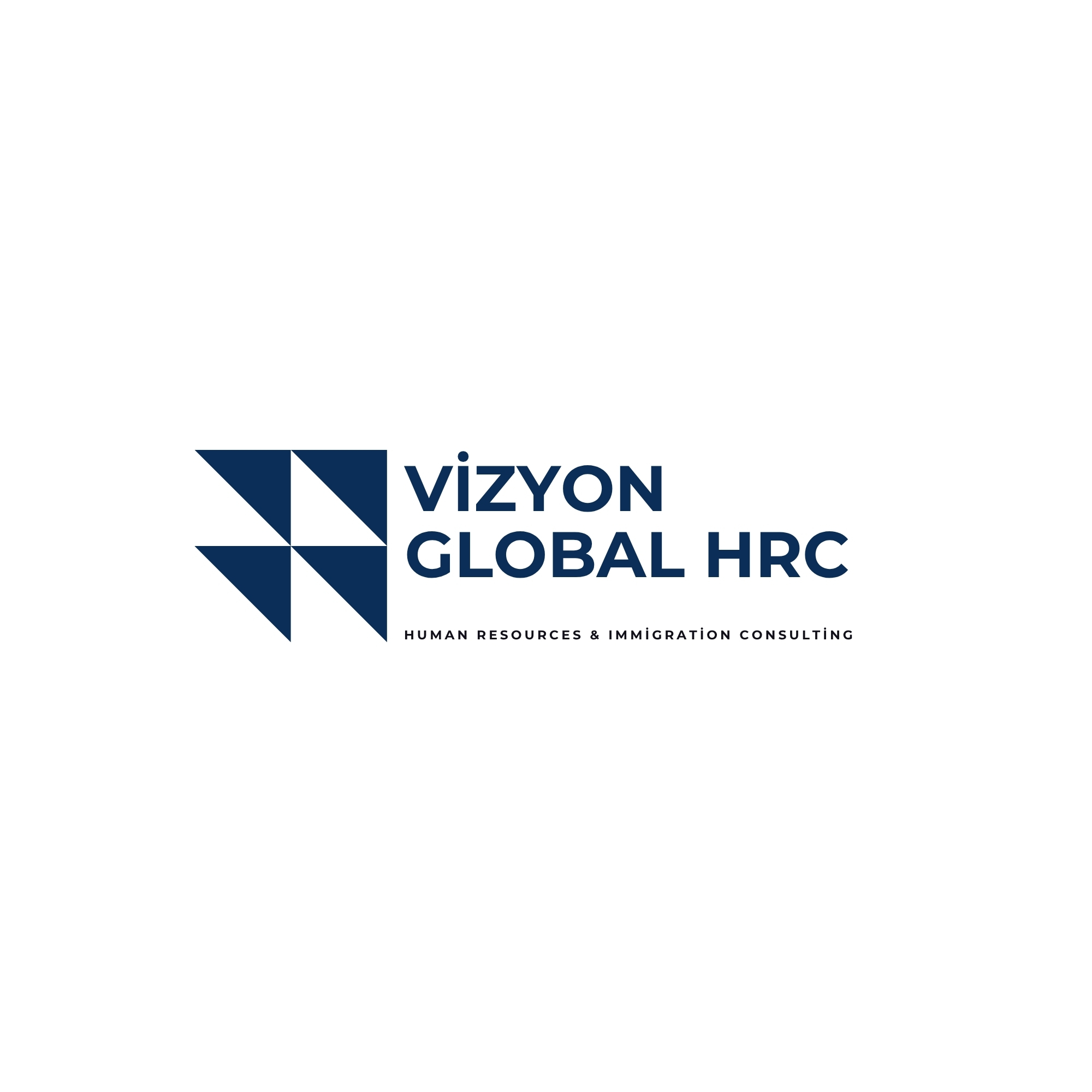 Vizyon Global HRC